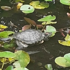 Ирина Рязанова, 24.12, Москва