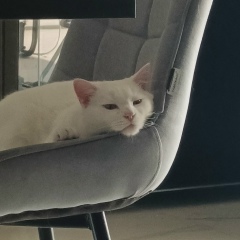 Андрей Рукосуев, 08.02.1977