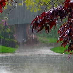 Екатерина Максимова, 17.06.2006, Санкт-Петербург
