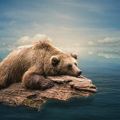 Станислав Калачевский, 26.12