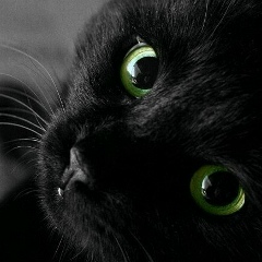 Gulima Dulatova, 20.04, Астана