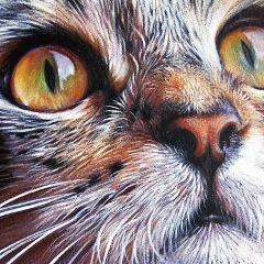 Дмитрий Шамраёв, 22.07, Ивано-Франковск