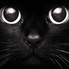 Нурбек Садвакасов, 17.01, Астана