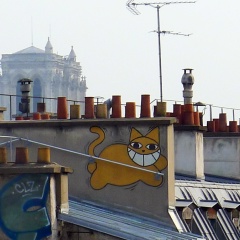 Любовь Генералова, 12.12, Санкт-Петербург