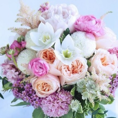 Анна Ардельян