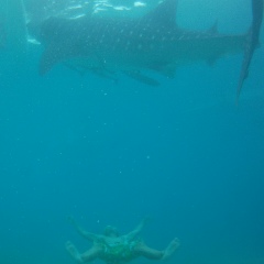 Антон Жамалетдинов, 21.08.1989, Москва