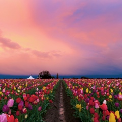 Мадина Темирханова, 26.02, Алматы