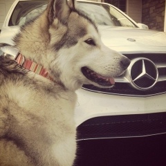 Серикбол Акжолтай, 23.02.1994, Астана