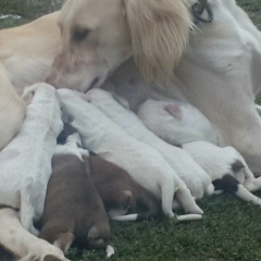 Акан Ергазиев, 12.08.1992, Актобе