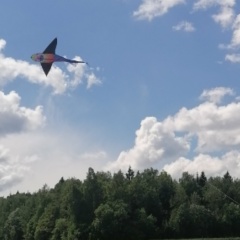 Иван Сотов, 29.08, Москва