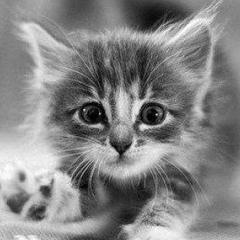 Вероника Величко