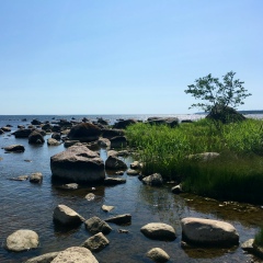 Елена Матузова, 03.08, Санкт-Петербург