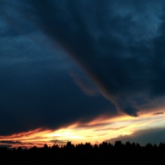 Степан Барышников, 25.10.1985, Москва