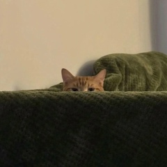 Александр Селезнёв, 16.06, Ухта