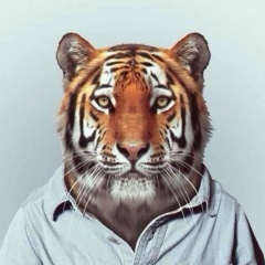 Kulchyk Prada, 09.10.1986