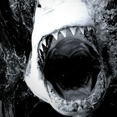 Anna Belousova, 26.01