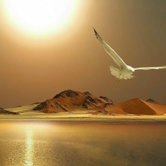 Тумиша Аслаханова, 10.11.1965, Нижний Новгород