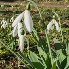 Наталья Гутаковская, 22.11