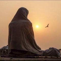 Аркадий Миров, Sydney