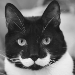 Алексей Турчин, 28.12.1988, Одесса