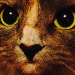 Ксения Веденеева, 19.08, Москва