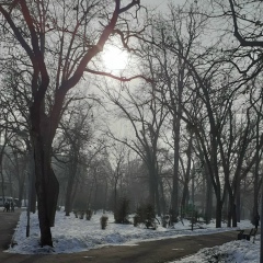 Оля Никифорова, Алматы