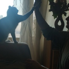 Константин Кузнецов, 10.05.1988, Москва