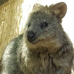 Антон Ставицкий, 09.04.1987, Фрязино