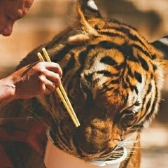 Билал Бардачный, 23.09.1996