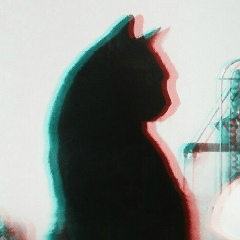 Дария Мухамеджанова, 16.11, Алматы