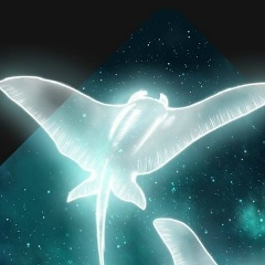 Наталья Иванова, 17.06, Новосибирск