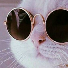 Дарья Серебренникова