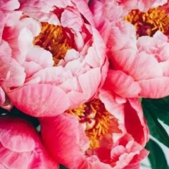 Наталья Макиенко, 17.03, Омск