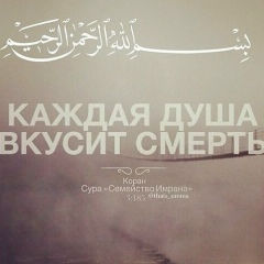 Амир Алханов