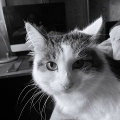 Илья Ярмилко, 21.02, Москва