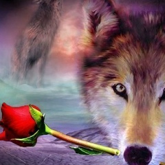 Татьяна Самохвалова, Санкт-Петербург