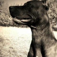 Александр Андэграунд, 06.05, Алматы