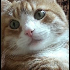 Галина Лебедева, 25.06, Санкт-Петербург