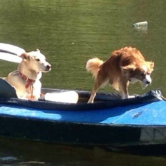 Лев Прудников, 12.05.1990, Киев