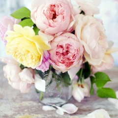 Masha Bekyan, 05.12, Москва