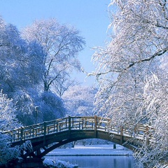 Владимир Галкин, 27.10.1992, Луцк