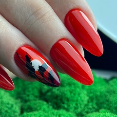 Юлия Белявская, Калининград