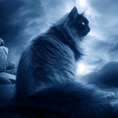 Денис Валеев, 08.01.1990, Уфа