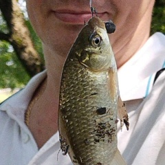 Павел Давыдов, 23.01.1985, Одинцово