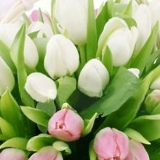 Елена Подгорнова, 20.01.1975, Тольятти