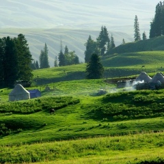 Нур Аргентинец, Тараз