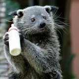 Pashu Slobodskoy, Москва