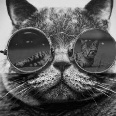 Дмитрий Александрович, 18.07, Москва