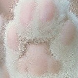 Рагим Кызы, 22.12, Баку