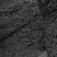 Дари Чимитова-Цыренова, Улан-Удэ